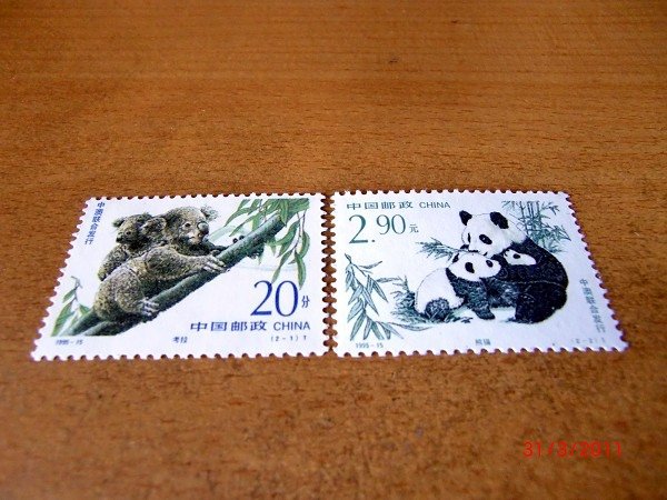 CIMG0038