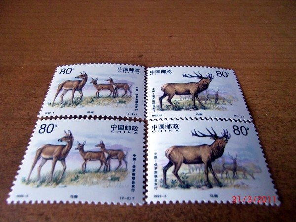 CIMG0051