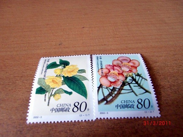 CIMG0052