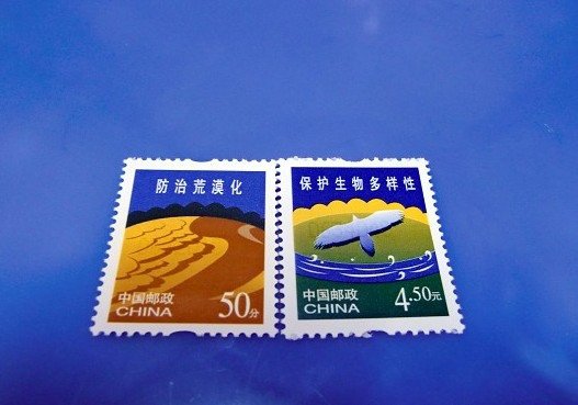 CIMG0081