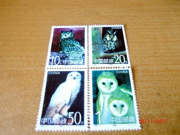 CIMG0087