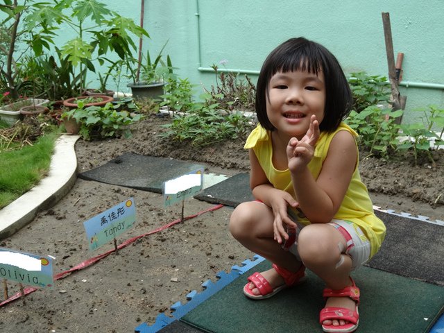 DSC01881-1.jpg