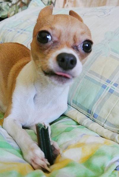 2013_1007BI.JPG