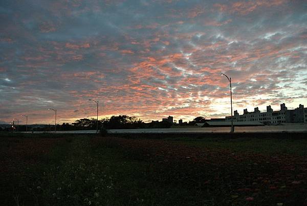 2013_1113ED.JPG