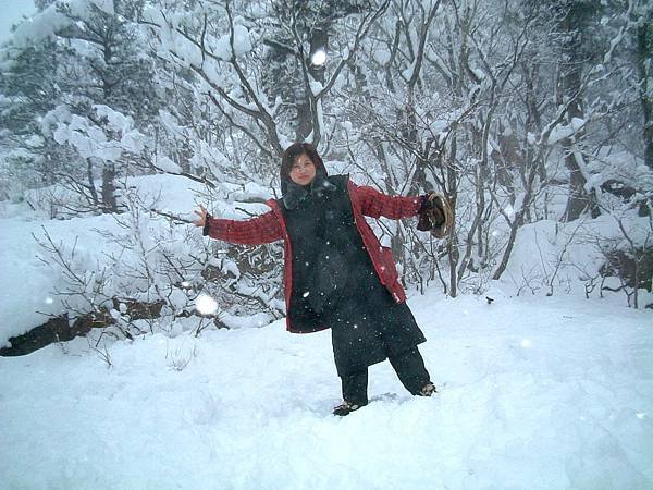2004_01117AU.jpg