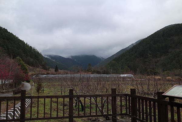 2014_0213BF.JPG
