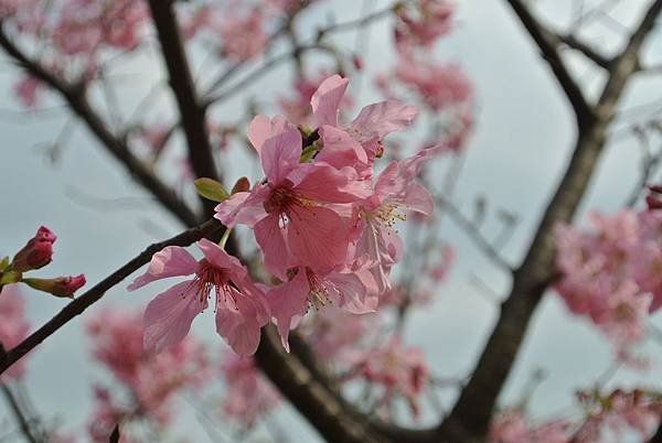 2014_0301AB.JPG
