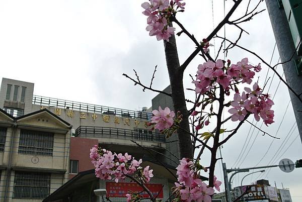 2014_0228BI.JPG