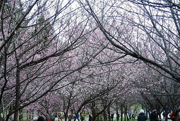 2014_0301AF.JPG