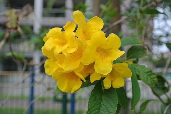 2014_0330AT.JPG