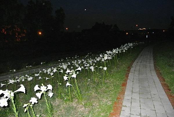 2014_0524DE.JPG
