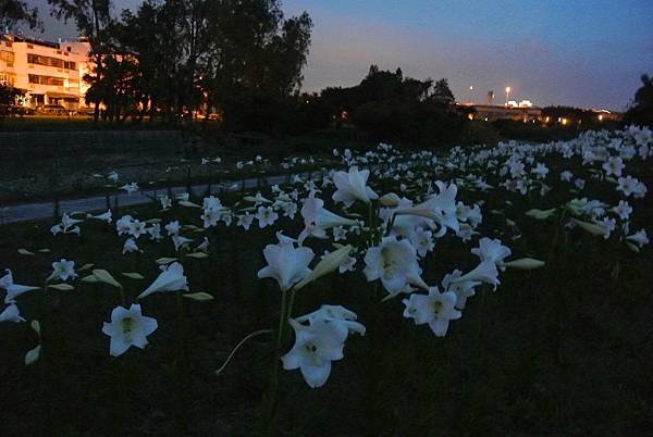 2014_0524DO.JPG