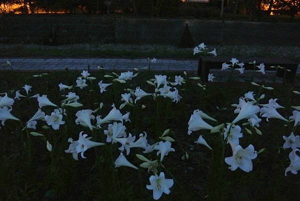 2014_0524EB.JPG