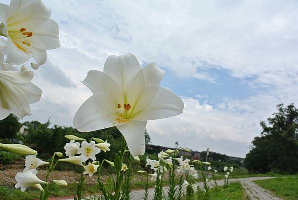 2014_0525GX.JPG