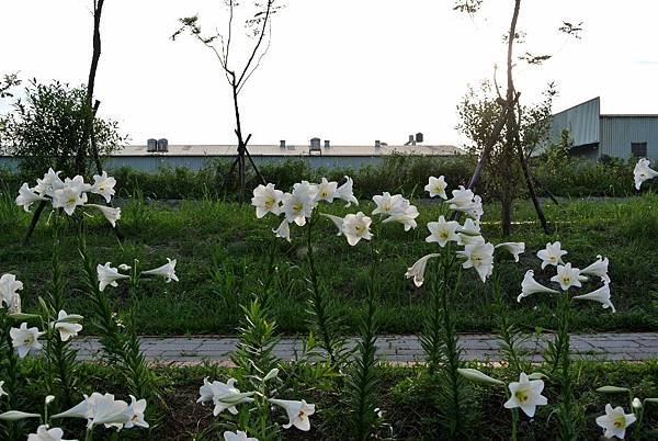 2014_0525GU.JPG