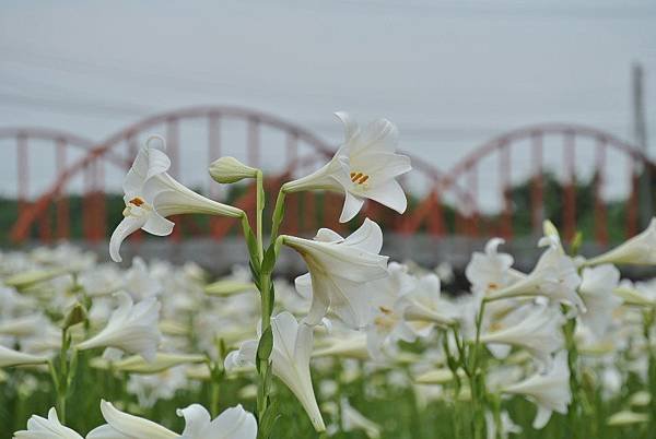 2014_0526FI.JPG
