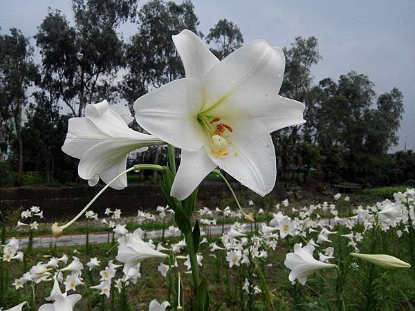 2014_0529AZ.JPG