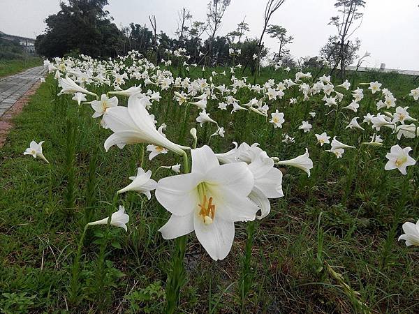 2014_0529CD.JPG
