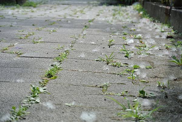 2014_0602AT.JPG
