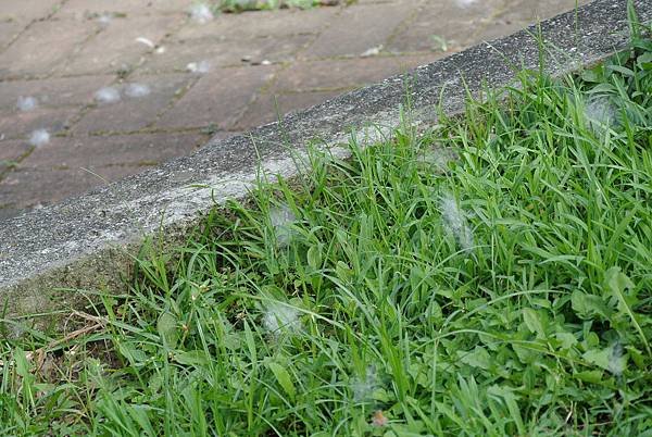 2014_0602KL.JPG