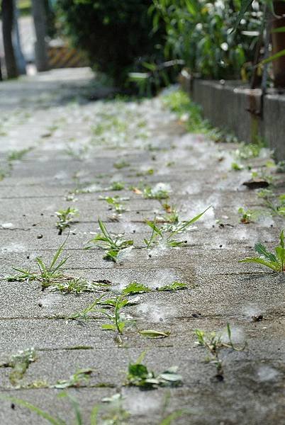 2014_0602KO.JPG