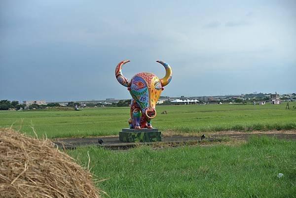 2014_0911AO.JPG