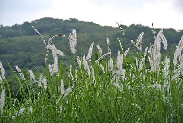 2014_0917BY.JPG