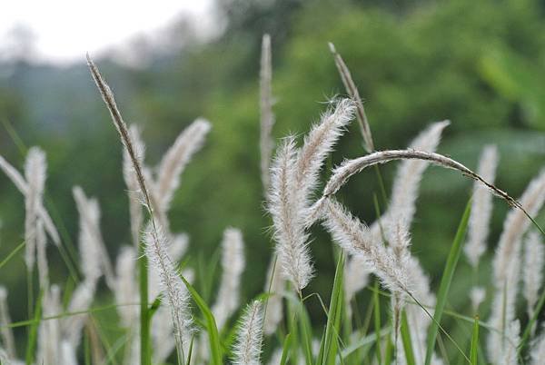 2014_0917CC.JPG