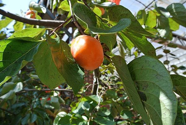2012_1024AF.JPG