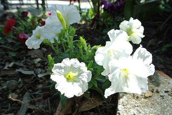 2014_0928AL.JPG