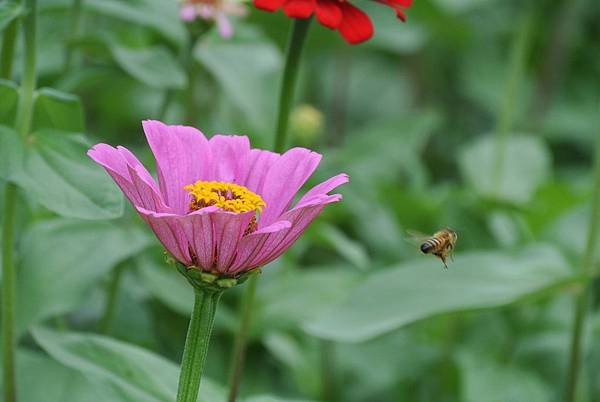 2014_1005GL.JPG