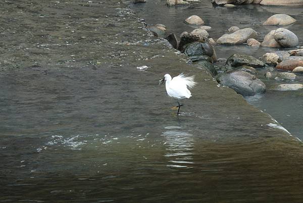 2014_1006CK.JPG