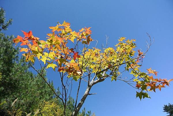 2014_1017AQ.JPG