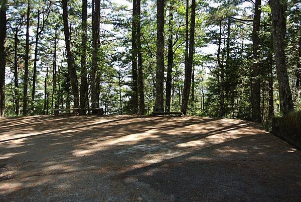 2014_1017BN.JPG