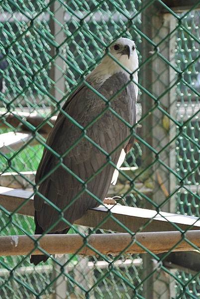 2014_1027EC.JPG