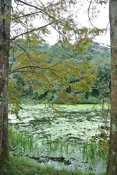 DSC_5620.JPG