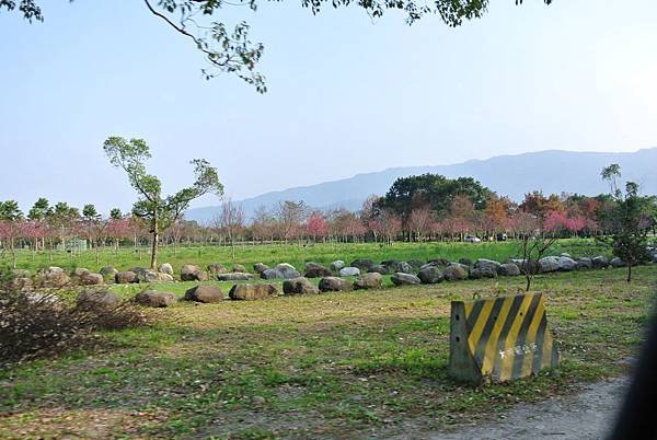 DSC_8718.JPG