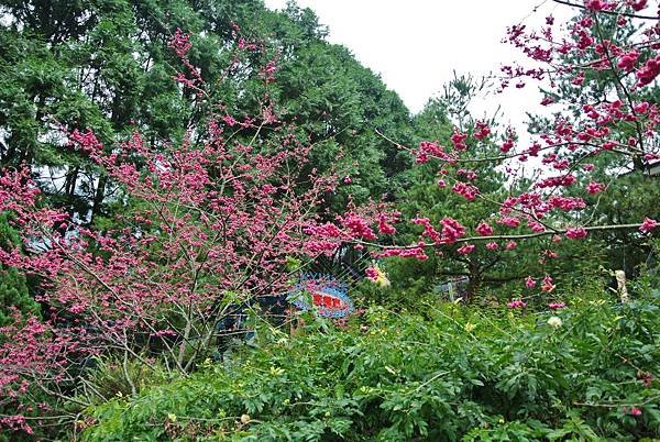 DSC_1149.JPG