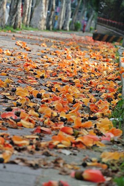 DSC_6106.JPG