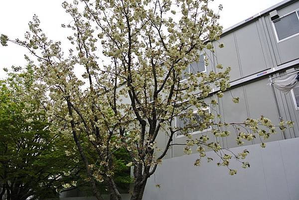 DSC_9111.JPG