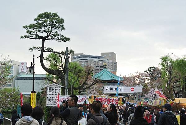 DSC_9175.JPG