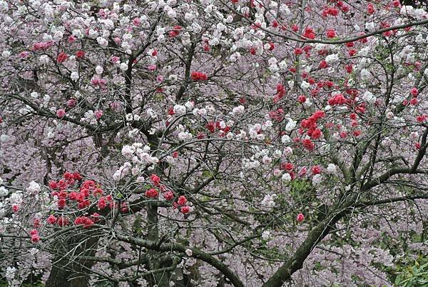 DSC_6308.JPG