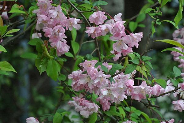 DSC_6347.JPG