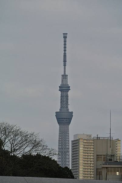 DSC_6337.JPG