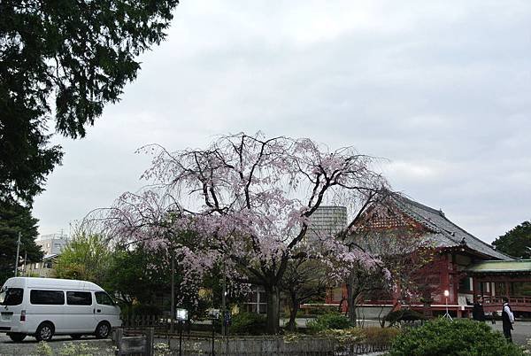 DSC_9128.JPG