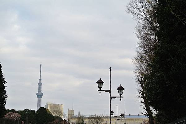DSC_9130.JPG