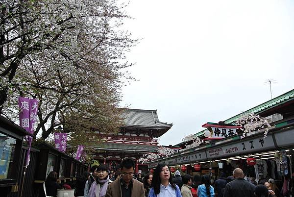 DSC_9685.JPG