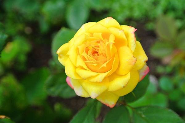 DSC_2210.JPG