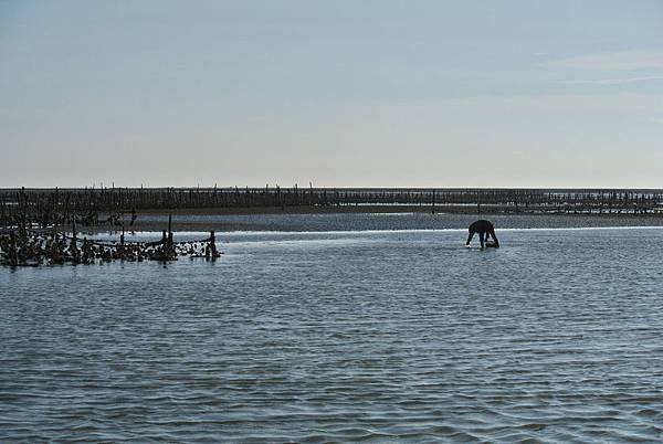 DSC_8060.JPG