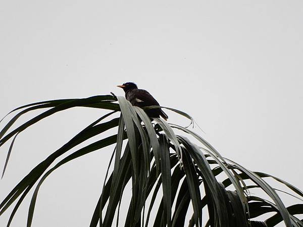 2015_0907EF.JPG